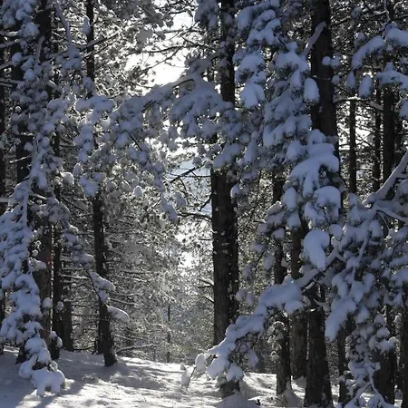 Apartman & Wellness, Sun & Snow *